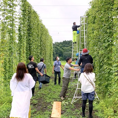 耕作放棄地から広がる、仲間とワクワクするビジネスと地域振興 〜ホップ栽培、そして有人ドローン⁈ - 庄原市