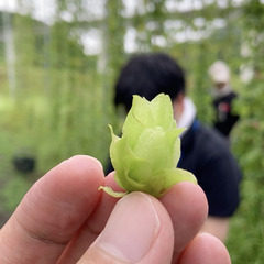 耕作放棄地から広がる、仲間とワクワクするビジネスと地域振興 〜ホップ栽培、そして有人ドローン⁈ - ワークショップ