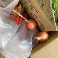 野菜セット　と　本麒麟と梅ソーダの画像