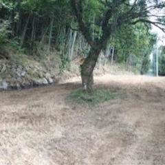 見るだけでもOKです！