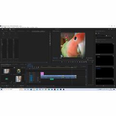 初期費用０円から始める動画編集の画像