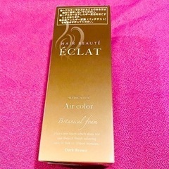 20%値下！白髪染め ボタニカルエアカラーフォーム 80g ダー...