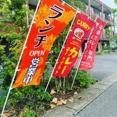 中辛カレー　世界のタキガワ　