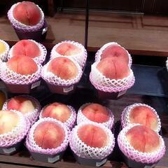 💰好き☆中野とか近隣のお話できるグルチャ - 中野区