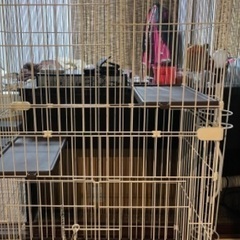 キャットケージの画像