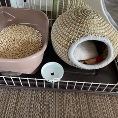 キャットケージの画像
