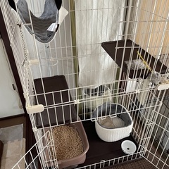 キャットケージの画像