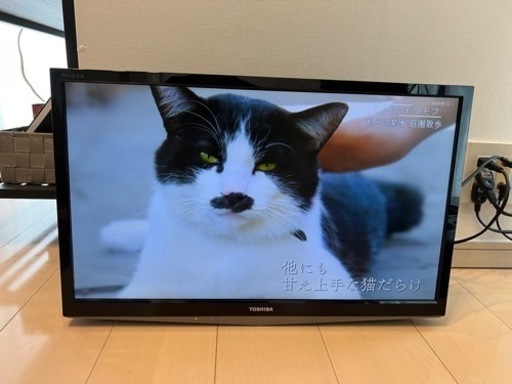 TOSHIBA REGZA 24型　2013年製