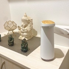 さいたま新都心　小さなヨガスタジオ　ガネーシャの画像