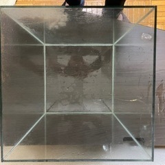 ハイキューブ水槽の画像