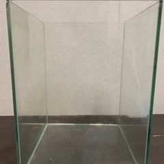 ハイキューブ水槽