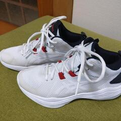 お話し中　無料で差し上げます!　アシックス asics ノヴァフロー ホワイト　子供用　バッシュ　バスケットボールシューズ  24.0の画像