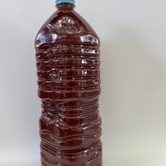 高濃度 光合成細菌 自家培養（ PSB 2Lのペットボトルが1本700円になりますの画像