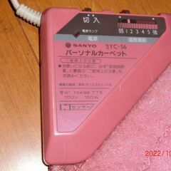 小さいホットカーペットの画像