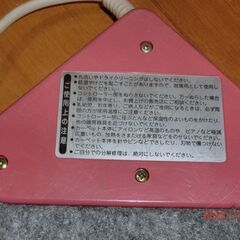 小さいホットカーペットの画像