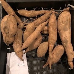 [取引中]無農薬　さつまいも　珍しい品種　追熟済　10312