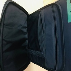 ④2990番　キャリーバッグの画像