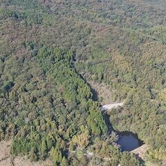 【成約済】山林物件107 大分県国東市