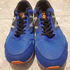 ランニングシューズの画像