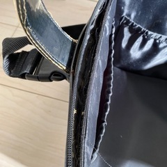 ネイルバッグ差し上げますの画像