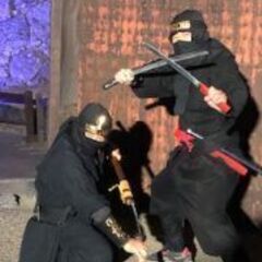 世界遺産　姫路城ナイトイベント「シロノヒカリ　千の願い、月への想い