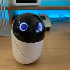 poiqと一緒におしゃべりを楽しみませんか？