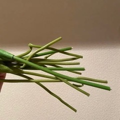 【お譲り先が決まりました】インテリアグッズ　おまとめセットの画像