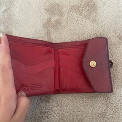 イルビゾンテ の画像