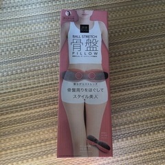 大槻わか奈 骨盤PILLOW 新品未使用品