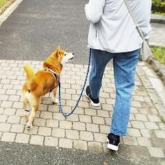 三次市唯一のペットお世話代行 - 地元のお店