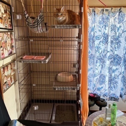 ネコのゲージ3段トイレ付き