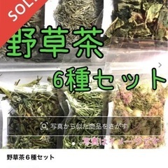 🍀メルカリで野草販売のお手伝いします 災害時の非常食にもなる野草、フリマアプリで売れます。の画像