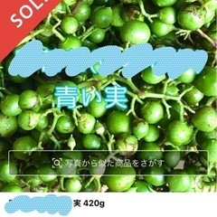 🍀メルカリで野草販売のお手伝いします 災害時の非常食にもなる野草、フリマアプリで売れます。の画像