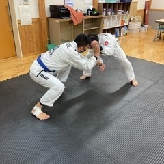 【ブラジリアン柔術】BJJこうち【1回500円】の画像