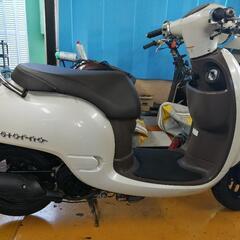 🌿ホンダ ジョルノ❗🌿