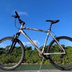 GIANT ROCK4500 26型アルミ 21速 430mm MTB BLUE