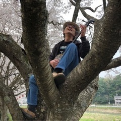 幡　俊弥　沖縄三線教室の画像