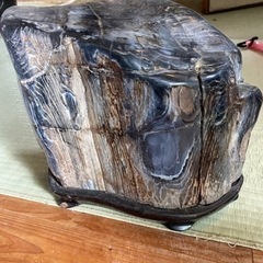木化石の画像