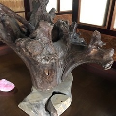 お家の中お庭空っぽ企画バザーの画像