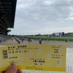 競馬観戦好きいますか〜♪現地観戦 − 東京都