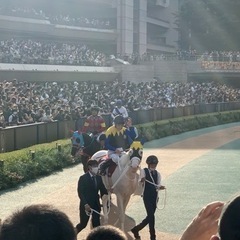 競馬観戦好きいますか〜♪現地観戦 - 府中市