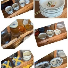 10/27午前でお一人きまりました。残りは処分しました。の画像