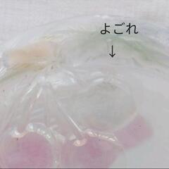 大皿  フルーツ模様　ガラス食器の画像