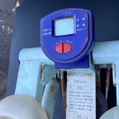 🎍🌅🌄🎍かめ　ステッパー　🎍🌅🌄🎍の画像