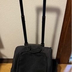 ペットキャリー　リュックにもなる　