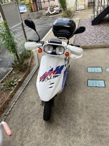 DIO BAJA(希少)購入者決定