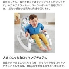 フィッシャープライス(fisher price) バウンサーの画像