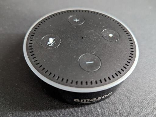 その他 echo dot