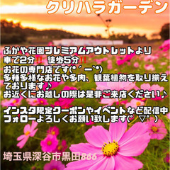 【入荷情報♪】10月後半の入荷情報です♪