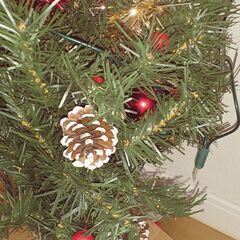 20年ぐらい前クリスマスツリーの画像